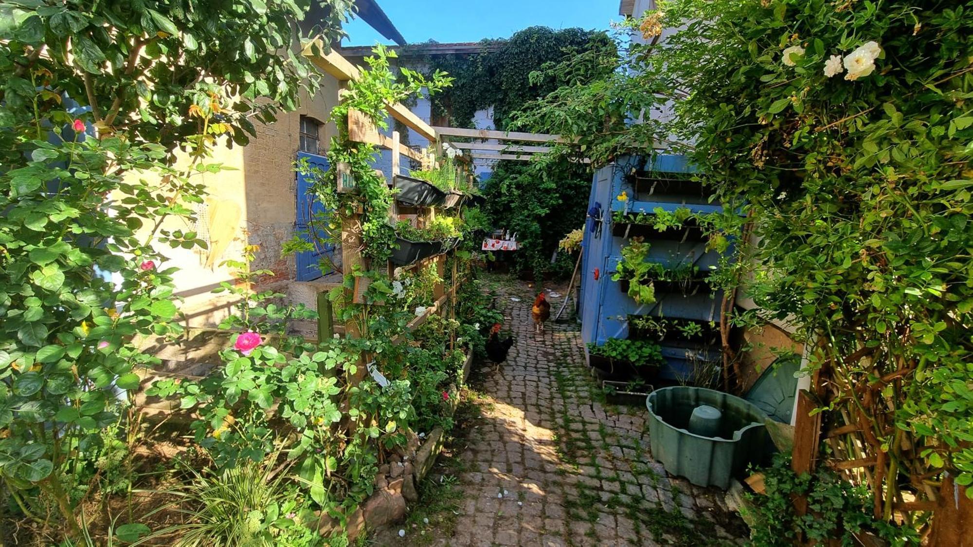 Bauernhof Privatzimmer Hortus Sandrine Gemeinschaftsbad Free Wifi Hausbreitenbach エクステリア 写真