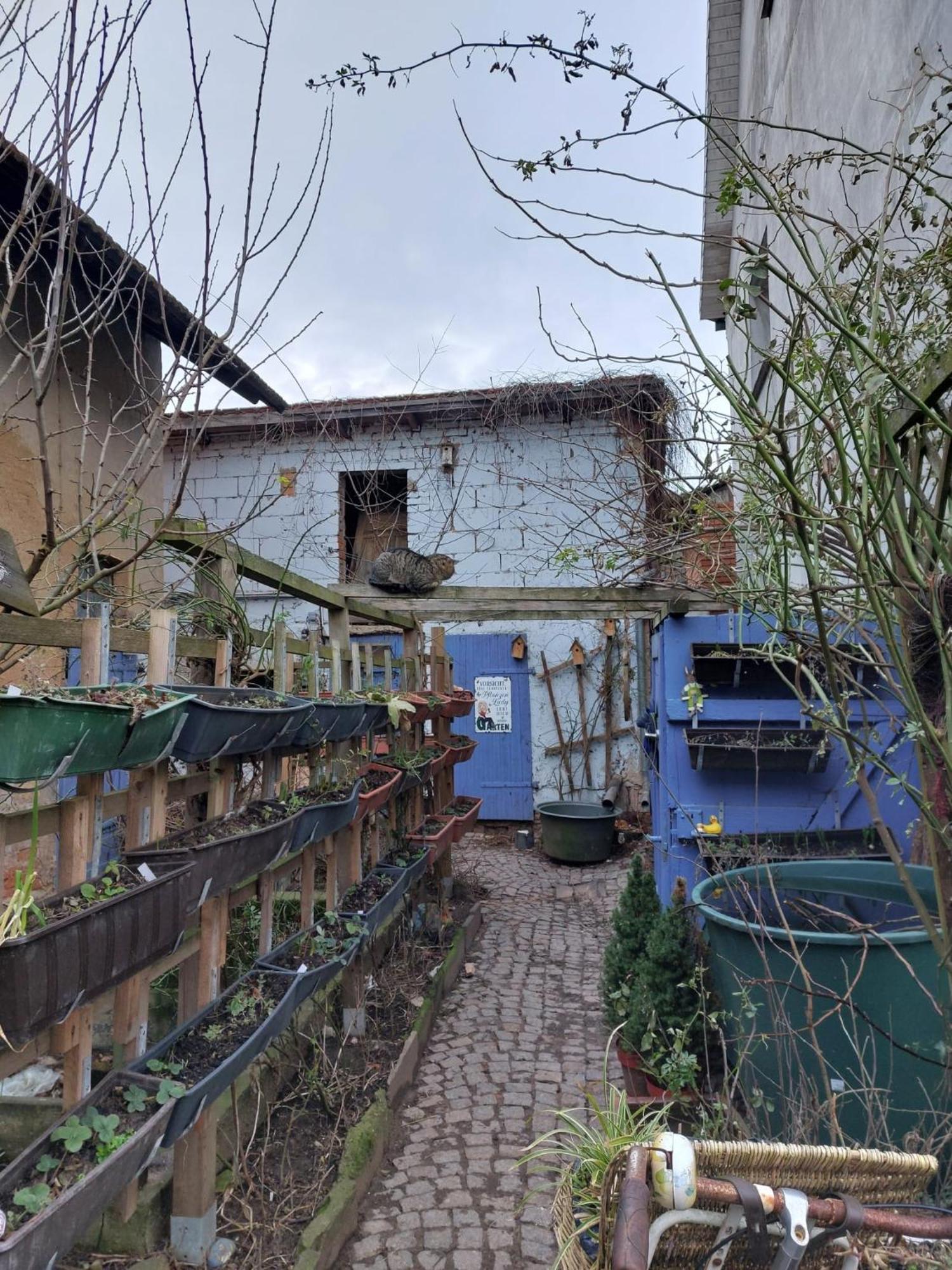 Bauernhof Privatzimmer Hortus Sandrine Gemeinschaftsbad Free Wifi Hausbreitenbach エクステリア 写真